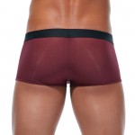 Boxer Torridz